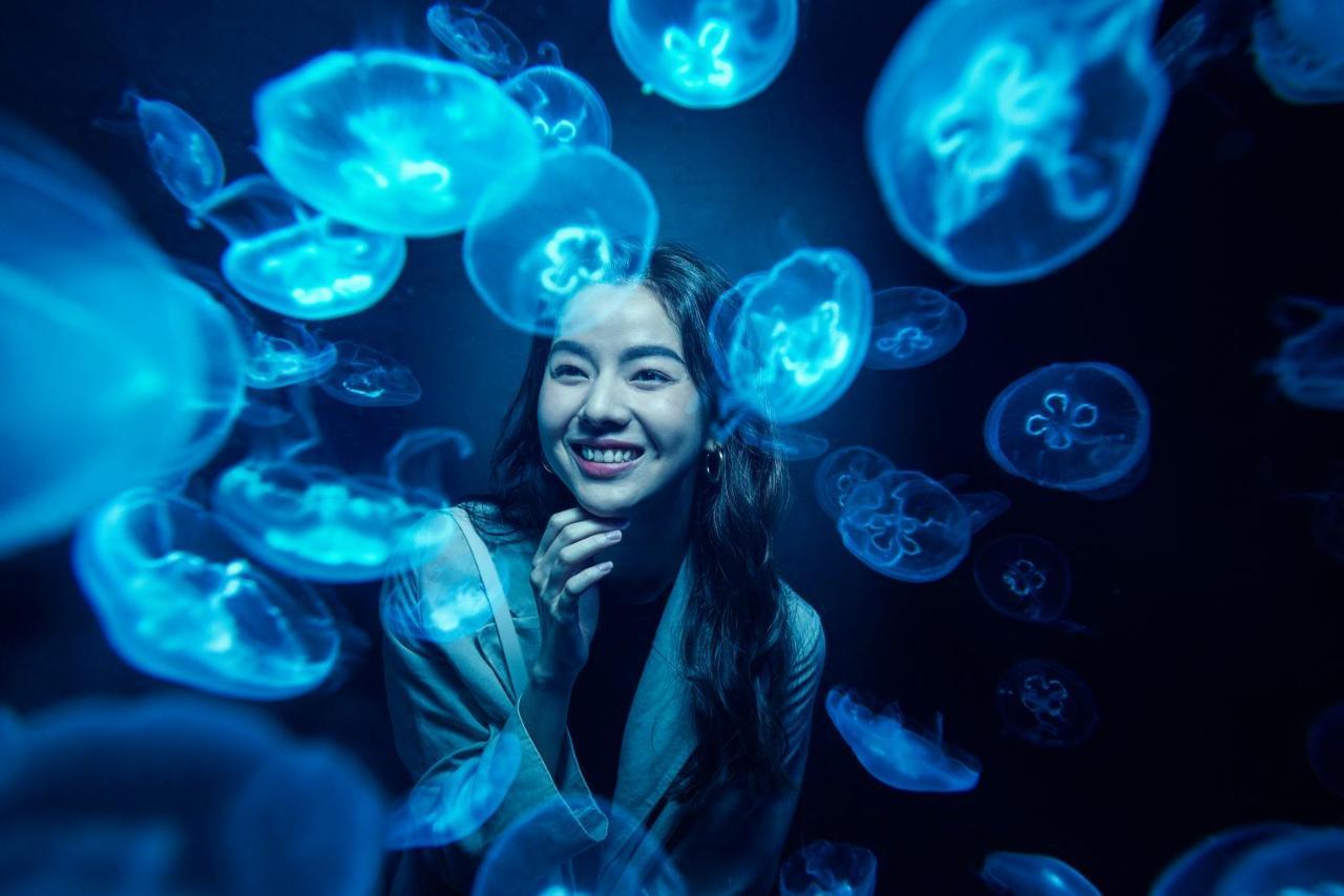 รีสอร์ท เวิลด์ เซ็นโตซ่า - บีช วิลล่า  สิงคโปร์ ภายนอก รูปภาพ
